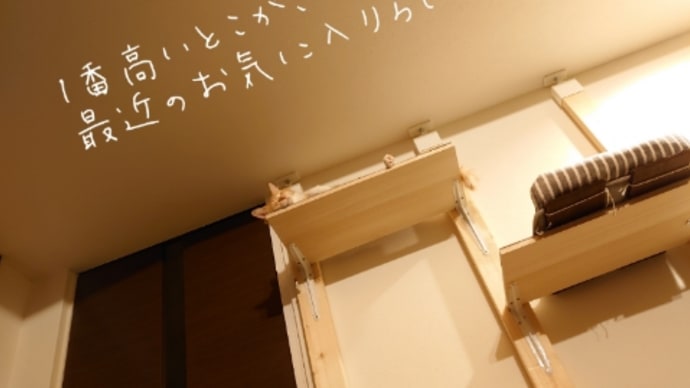 心の健康を保つのに必死だ。