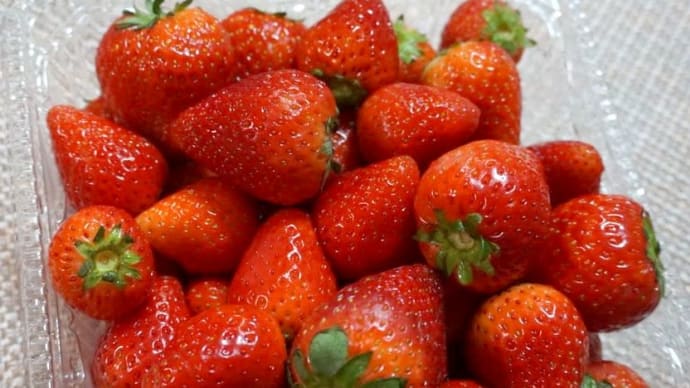 とちあいか🍓