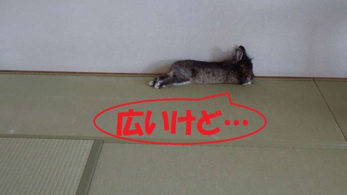 風通し