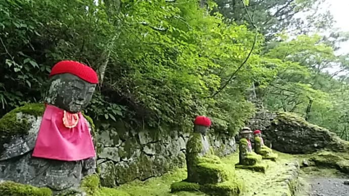 干梅やのがれ逃れしあの日の難/青萄