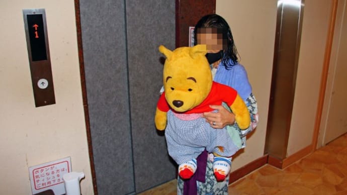 プーさん 群馬県利根郡みなかみ町 宝川温泉 汪泉閣に行ったんだよおおう 最終章