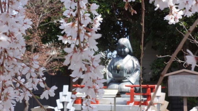 2014年・千本釈迦堂のおかめ桜　＠　京都妖怪探訪（３４２）