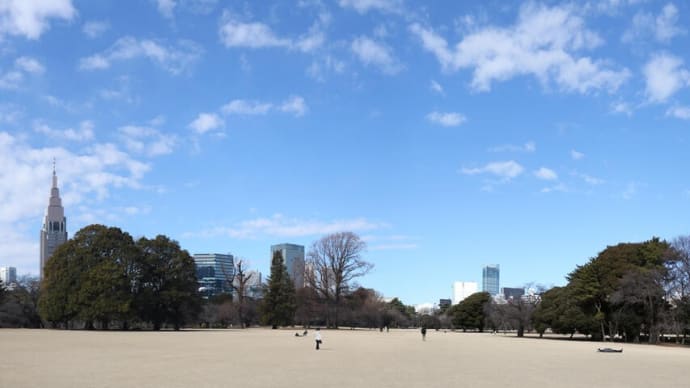 2月の新宿御苑
