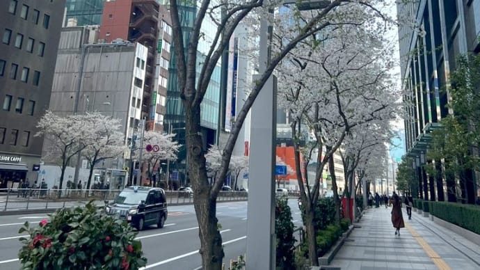 (別の意味での)モテ期?