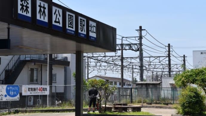 森林公園 開園50周年記念無料入場日 1