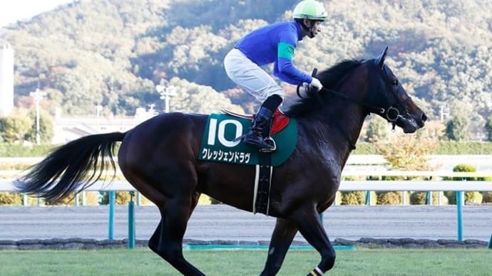 【クレッシェンドラヴ】有馬記念出否は香港デモの情勢がカギ!?