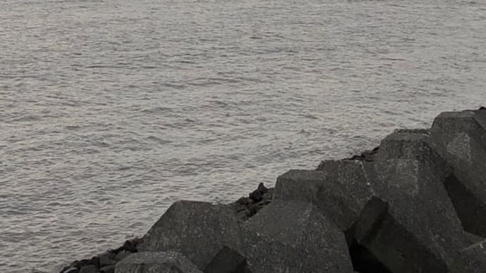 有明海ごしの雲仙