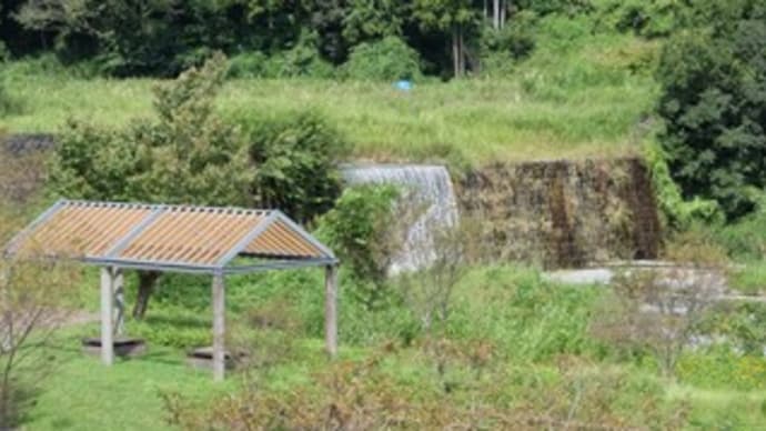 2024神奈川河川ポタリング『水無川』⑦神奈川県立秦野戸川公園