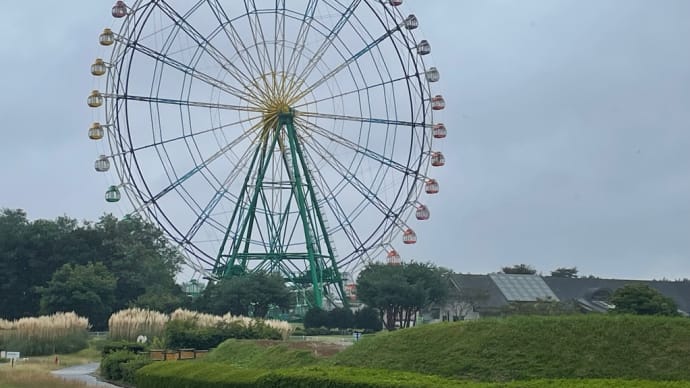コキア平塚号でひたち海浜公園に行ってみた