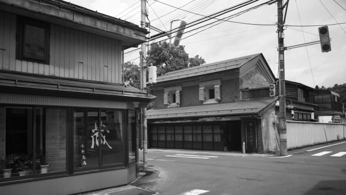 大森を歩くと、妄想だらけになる