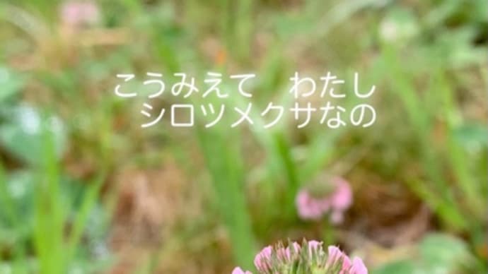 (o^^o)