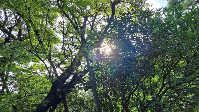 馬券投資額はほどほどにしましょう?ちょっとムリかな?