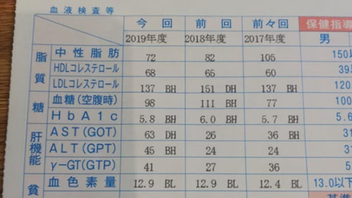 国保特定健診の結果が