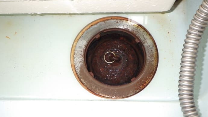 浴室の椀トラップの椀の取り換・・・千葉市営住宅