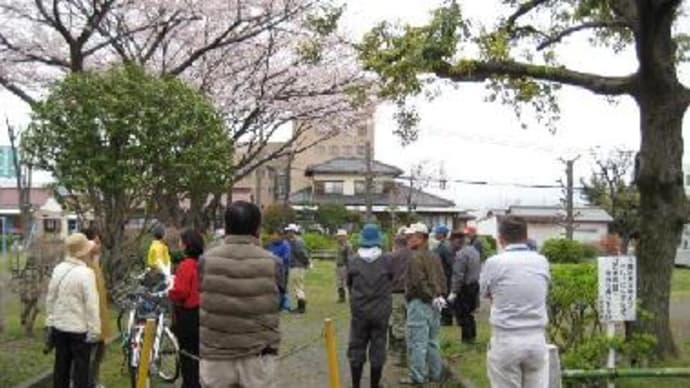 小潤井川清掃