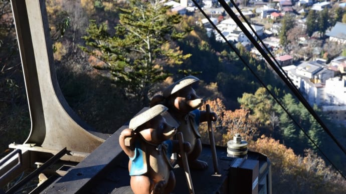 もみじ狩り 山梨県南都留郡富士河口湖町 富士パノラマロープウェイ(完)カゴの上にはたぬき