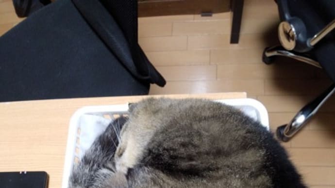 四角と丸