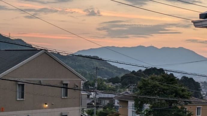 黒龍様の言葉 色んなワンちゃんがいますね