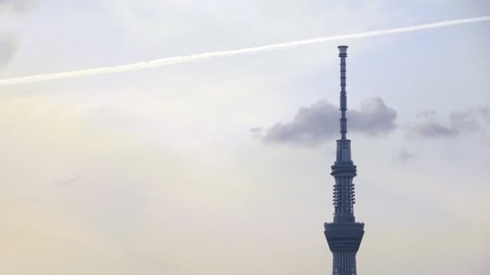 実家でさぼてんランチとお持たせ晩ご飯!野菜詰め放題お裾分け