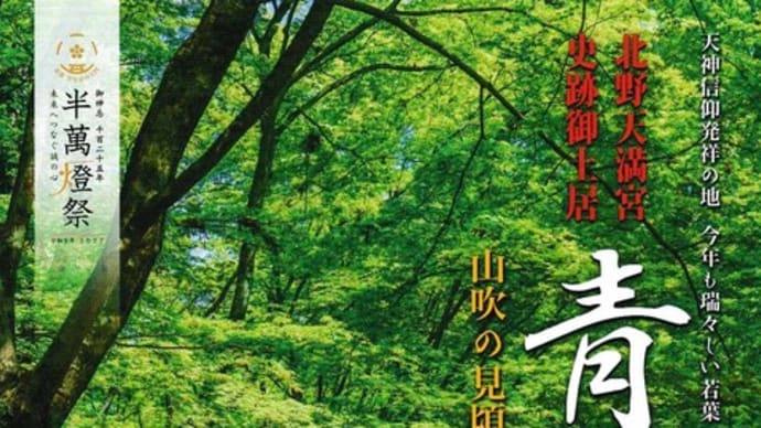 2024北野天満宮御土居 青もみじ&山吹