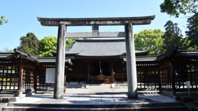 津山市 作楽神社 アヤメ