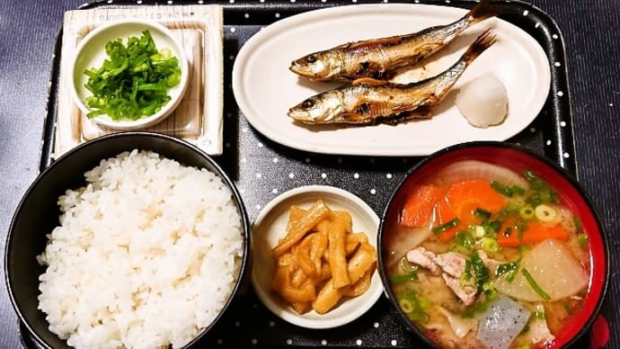家で朝ご飯(新潟県魚沼産コシヒカリ、めざし、納豆、豚汁、割干大根漬)(2024年3月21日)