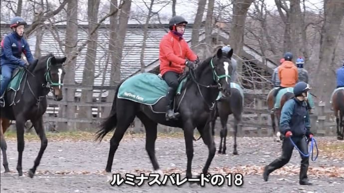 ルミナスパレードの2018、リフレッシュで体重爆増!