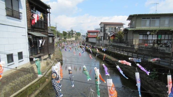 '20.04.10 巴波川のこいのぼりを観ながら散歩