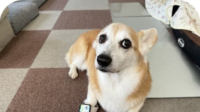 スマートウォッチのモニター