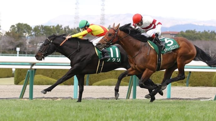 【出馬表】 第68回 阪急杯 G3
