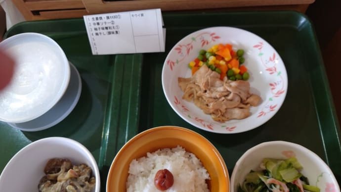 12月26日㈪リハビリで外を歩いた。
