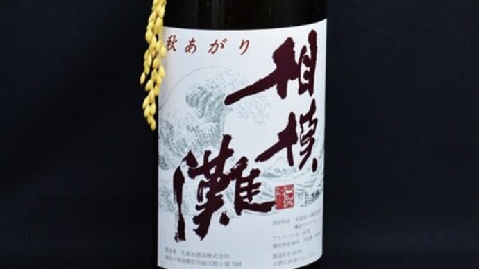 相模灘・よこやま「ひやおろし」入荷