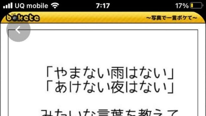 bokete 4連発