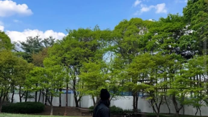 5/3 HADY(テフン)のインスタ写真は〜 (BGMあり)