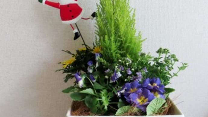 鬱々していましたが・・・