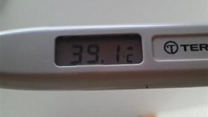 今日も39℃超え
