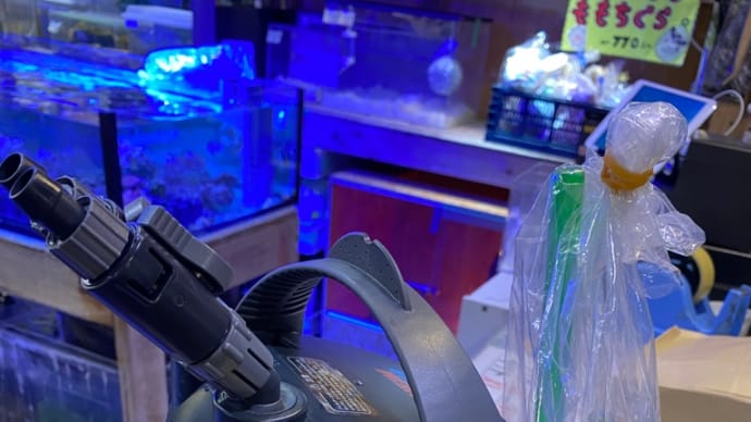 中古エーハイム2234
