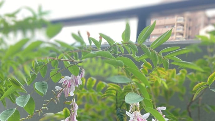夏の休暇は