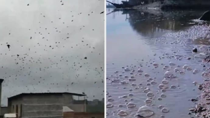 「空を旋回する鳥」は天変地異の予兆か? 続く異常現象に、不安つのる中国民衆
