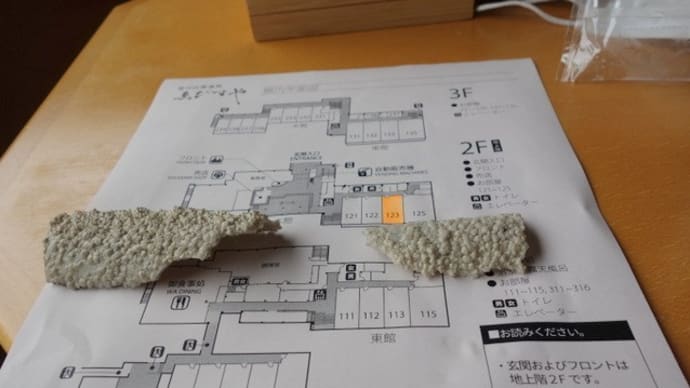 白骨温泉散歩後に帰宅