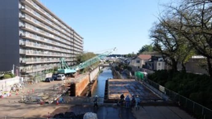 2022東京河川ﾎﾟﾀﾘﾝｸﾞ『石神井川』⑨扇橋～西武新宿線武蔵関駅