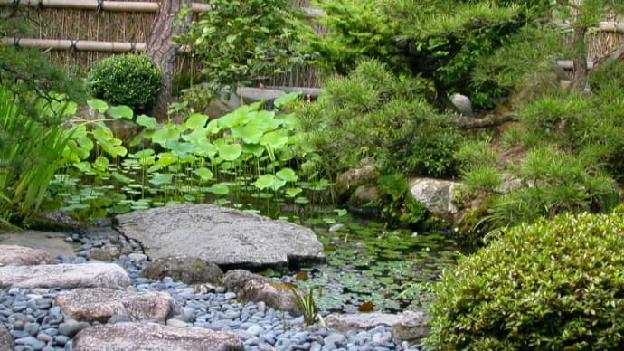 介護施設 入浴拒否百景