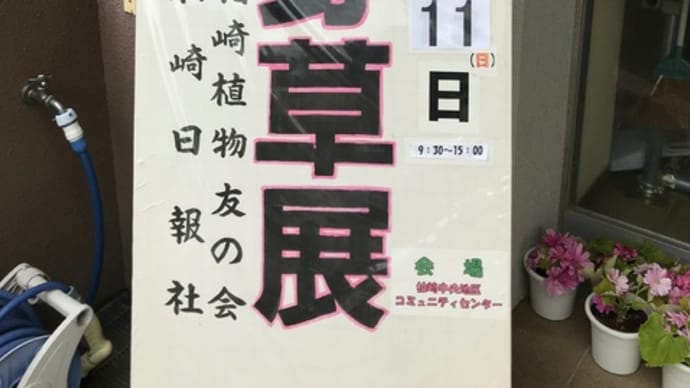 山野草展