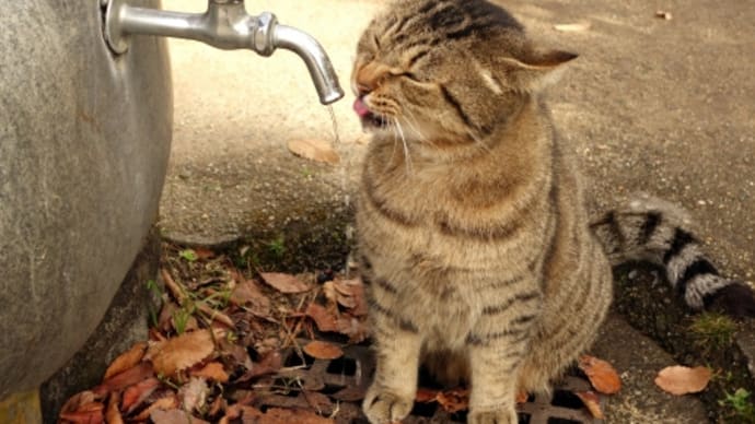 冬も命の水