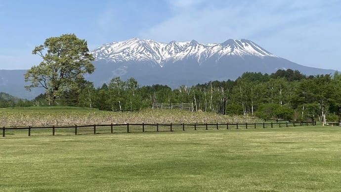 今日も気温上がっています