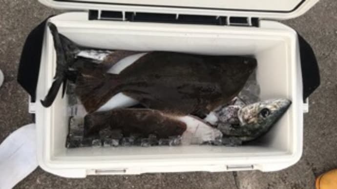 21日・釣果