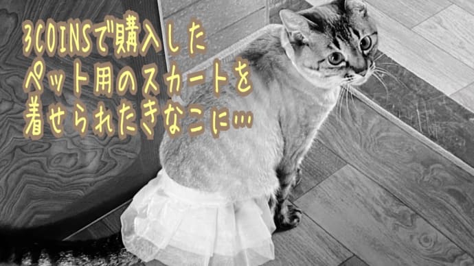 約束しましたからね