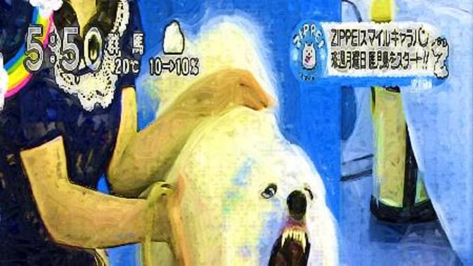 201202日本テレビによる動物虐待発覚「ZIP！」人気犬の声帯を除去
