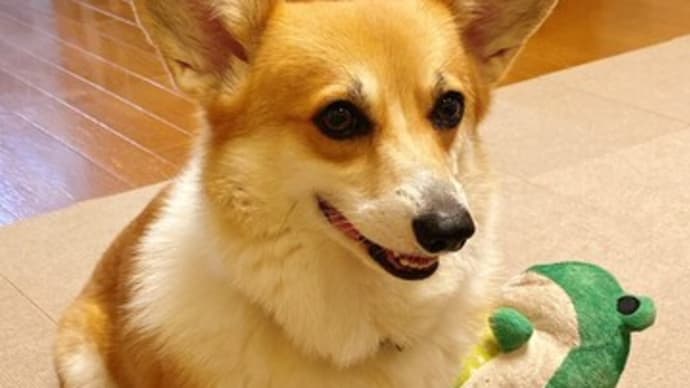 ブログお引越しします