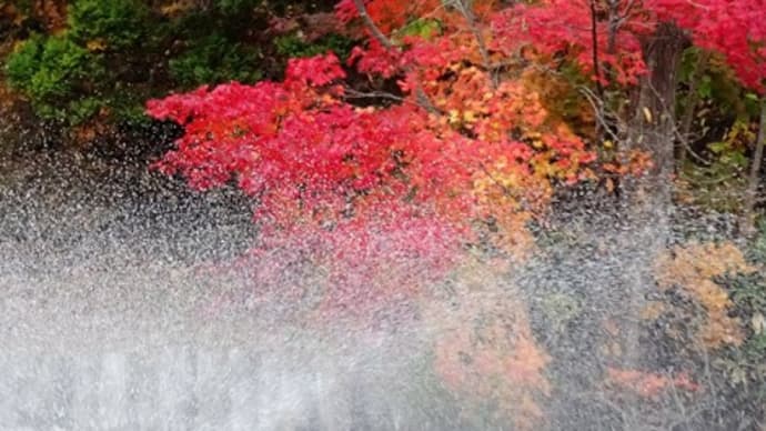 八郎沼・晩秋2019年10月30